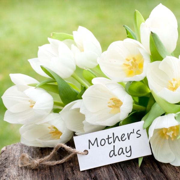Mother's Day Flowers
